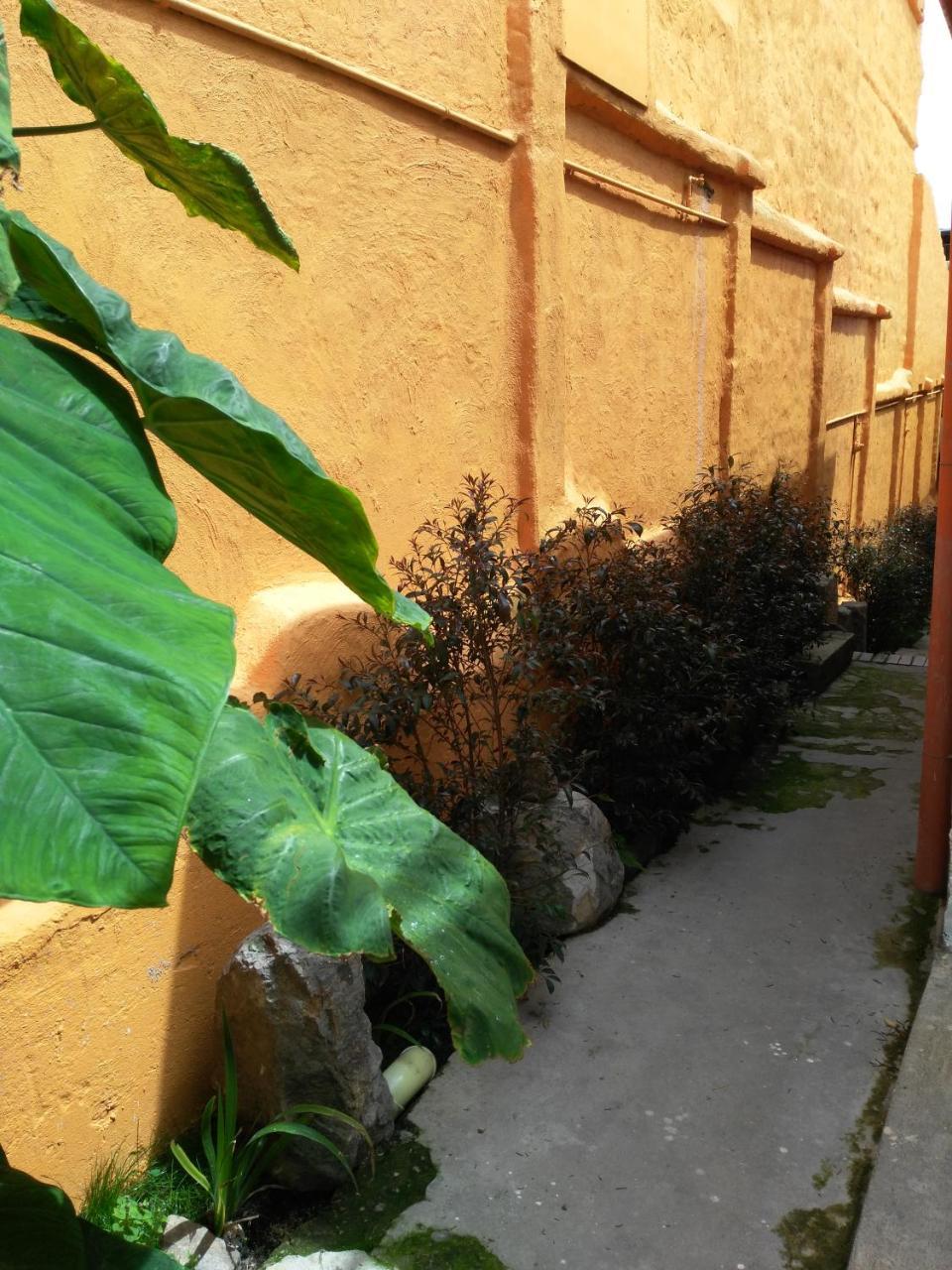 Casa-Arbol Apartment โบโกตา ภายนอก รูปภาพ